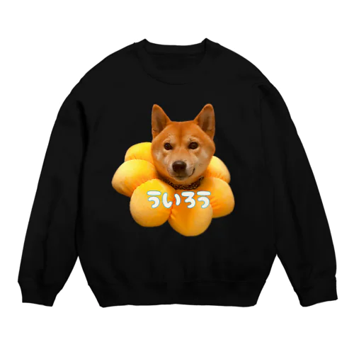 柴犬のういろう Crew Neck Sweatshirt