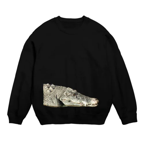 WANISAN Crew Neck Sweatshirt