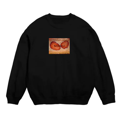 "Temptation" Crew Neck Sweatshirt