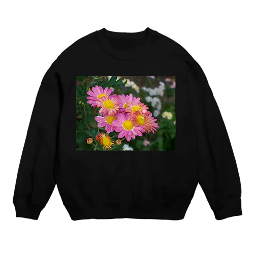 菊が咲く　DATA_P_142 Crew Neck Sweatshirt