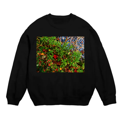 秋の水辺　DATA_P_145 Crew Neck Sweatshirt