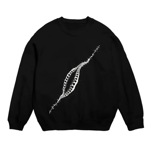 切孔(裏) Crew Neck Sweatshirt