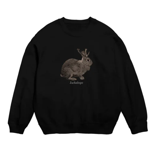 未確認動物 Crew Neck Sweatshirt