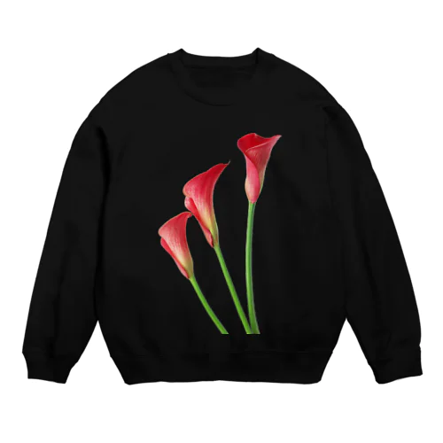 Red color Crew Neck Sweatshirt