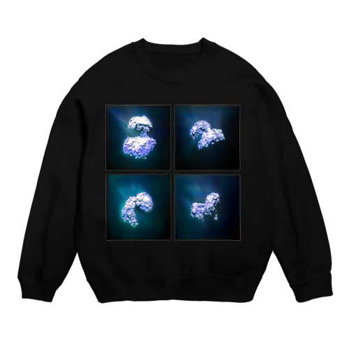Rosetta [blue] Crew Neck Sweatshirt