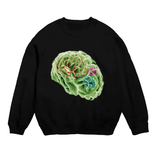 amnesia (BRAINS UP) Crew Neck Sweatshirt