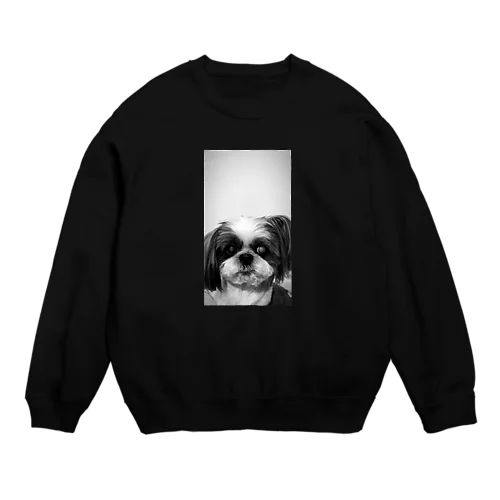 monomomo Crew Neck Sweatshirt