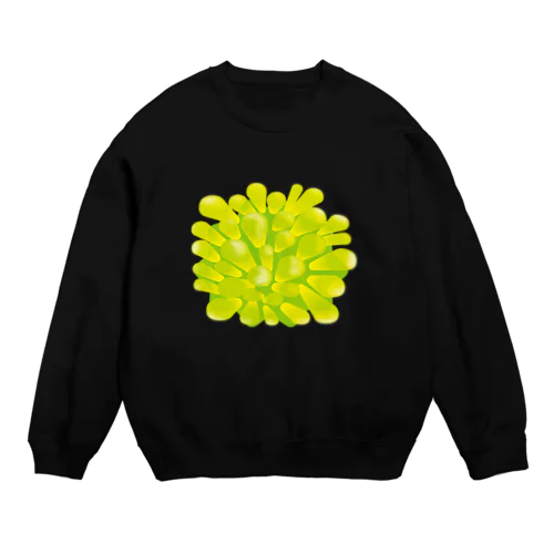 ヒカリゴケ Crew Neck Sweatshirt