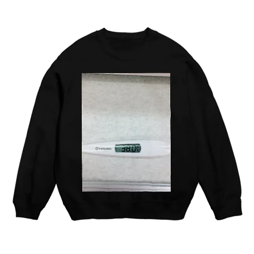 38度 Crew Neck Sweatshirt