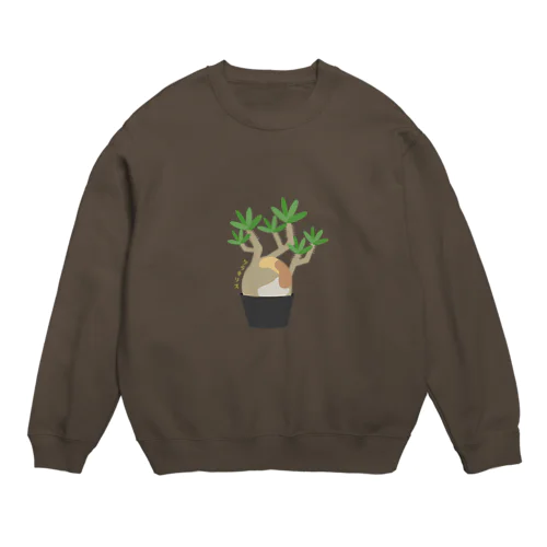 パキポディウムグラキリス(象牙宮） Crew Neck Sweatshirt