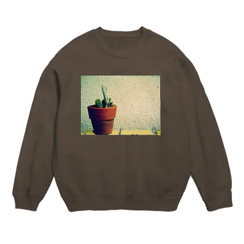 サボティーノ Crew Neck Sweatshirt