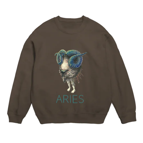 Aries スウェット