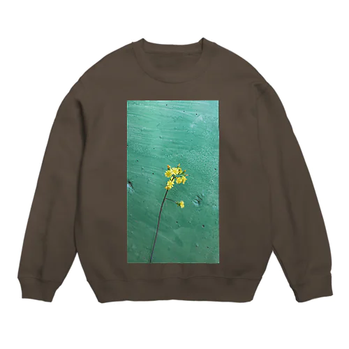 #5 みどりの壁と黄色いお花 Crew Neck Sweatshirt