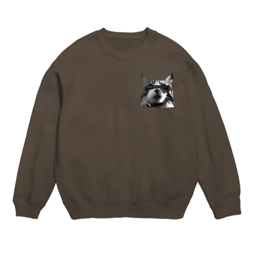 目線アレクサンダー Crew Neck Sweatshirt