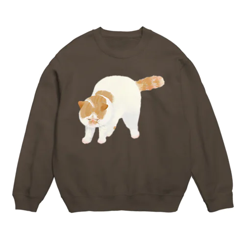 エキゾチックなヒーローくん大 Crew Neck Sweatshirt