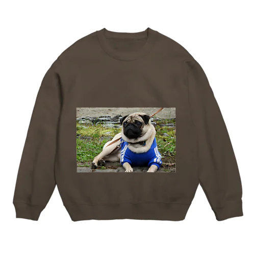 愛犬 Crew Neck Sweatshirt