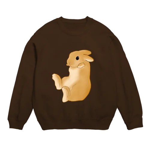 うさだっこパーカー/スウェット Crew Neck Sweatshirt