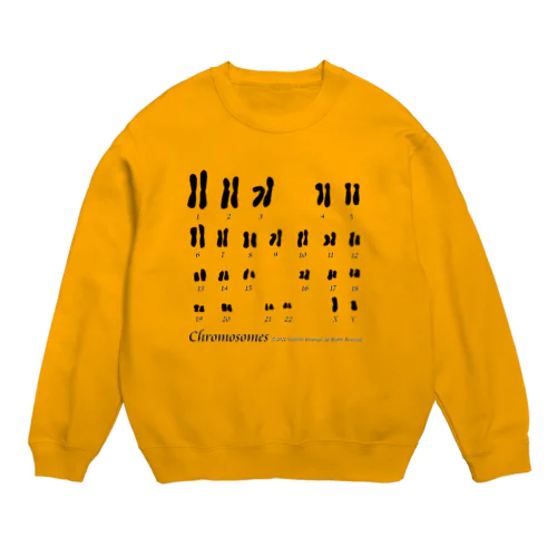 【学習シリーズ】染色体 Crew Neck Sweatshirt