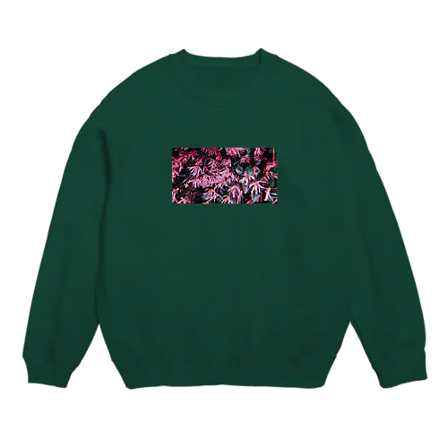 通学路に咲いてた花2 Crew Neck Sweatshirt