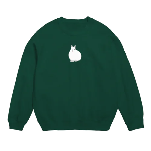 スウィーティーフロスティ Crew Neck Sweatshirt