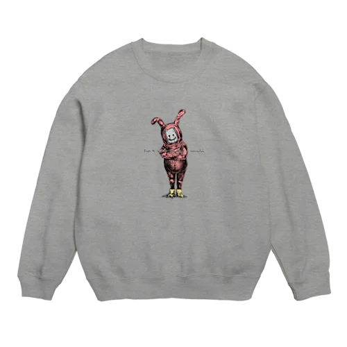 Usagi Crew Neck Sweatshirt