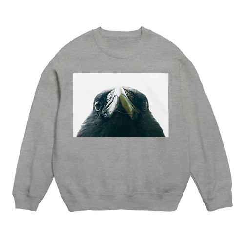 crow(カラス) Crew Neck Sweatshirt