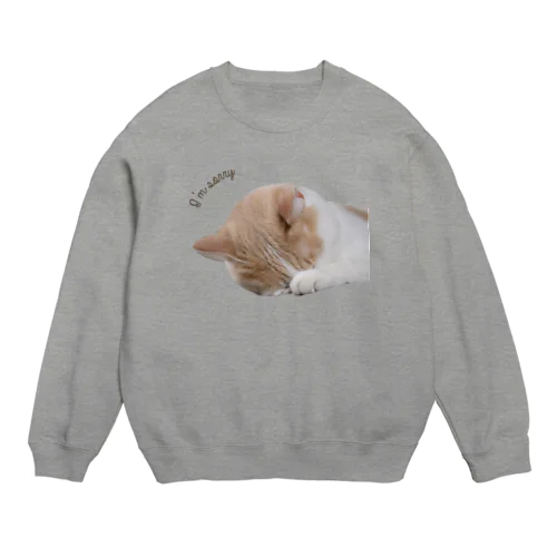 I'm sorry... Crew Neck Sweatshirt