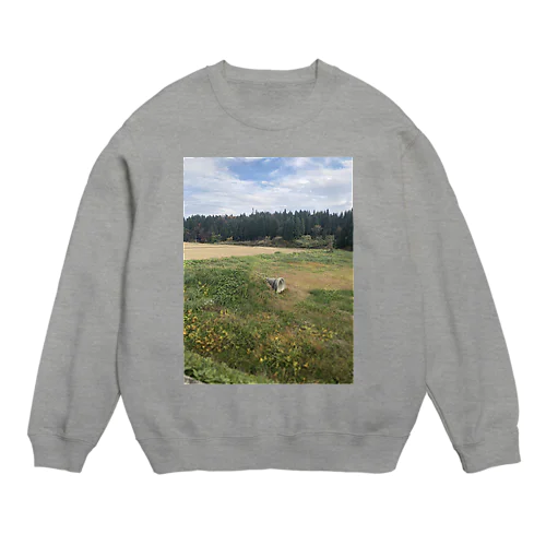 堂平遺跡 Crew Neck Sweatshirt