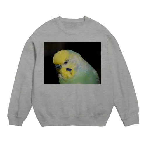 Pchan Crew Neck Sweatshirt