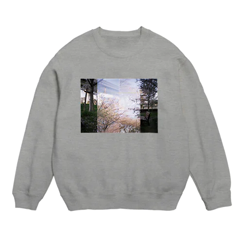 spring Crew Neck Sweatshirt