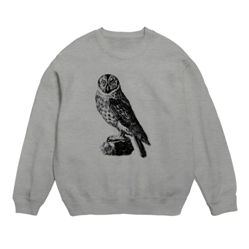 フクロウ＜アンティーク・プリント＞ Crew Neck Sweatshirt