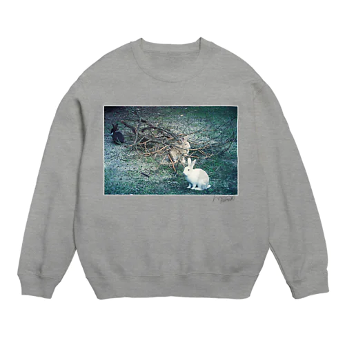 庭園 Crew Neck Sweatshirt