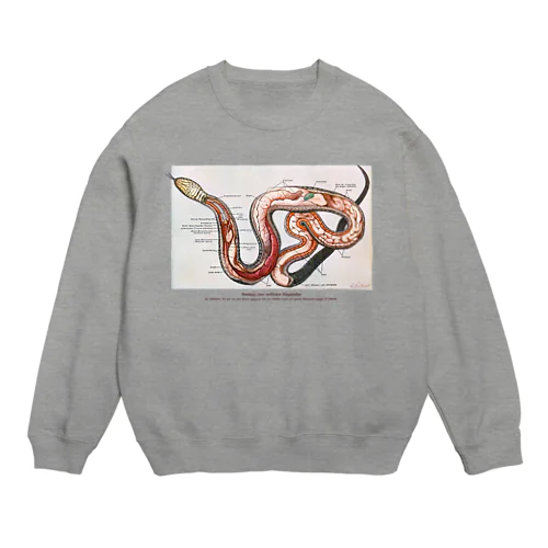 ヘビの解剖 Crew Neck Sweatshirt