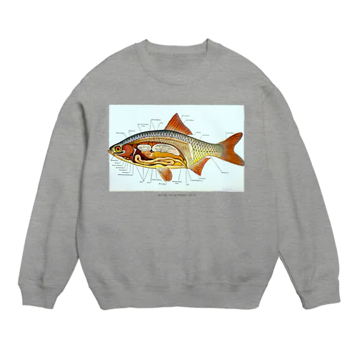 さかなの解剖 Crew Neck Sweatshirt