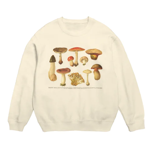 食べられないきのこ＜博物図＞ Crew Neck Sweatshirt