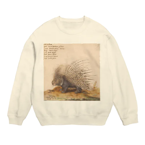 PORCUPINE スウェット