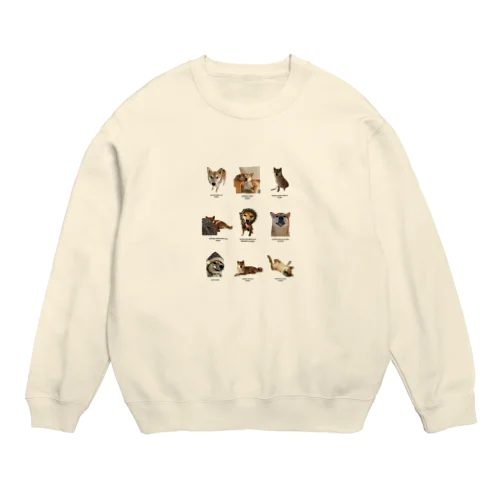 こんぶだよ！全員集合！ Crew Neck Sweatshirt