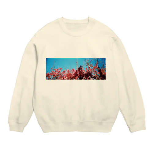 梅盛り Crew Neck Sweatshirt