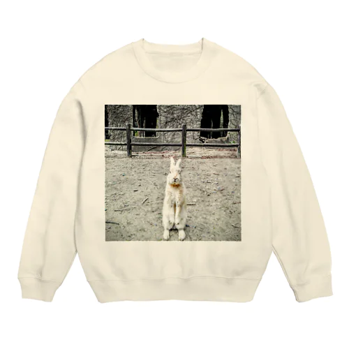 アニマル6 Crew Neck Sweatshirt