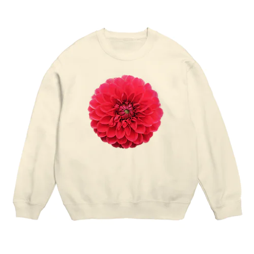 天竺牡丹 Crew Neck Sweatshirt