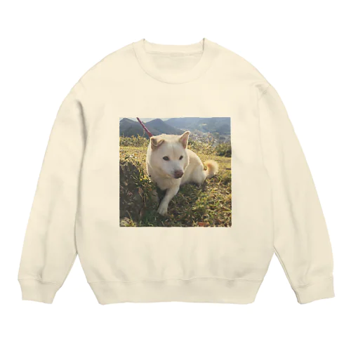 わんこ Crew Neck Sweatshirt