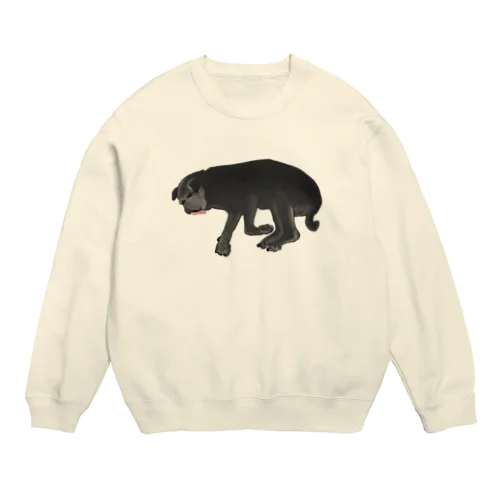 パグ Crew Neck Sweatshirt