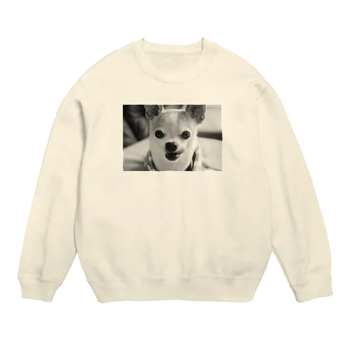 モノクロチワワ（ぺろんちょ） Crew Neck Sweatshirt