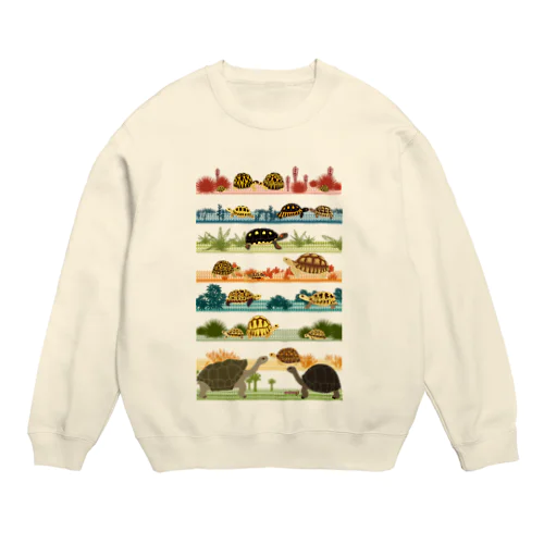 リクガメボーダー Crew Neck Sweatshirt