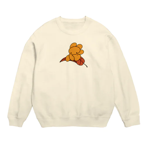 🐻🍂 Crew Neck Sweatshirt