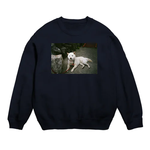 teshima no inu Crew Neck Sweatshirt