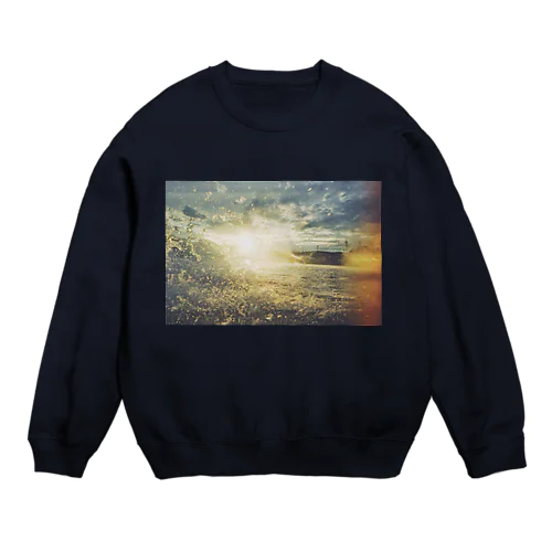 spring summer Crew Neck Sweatshirt