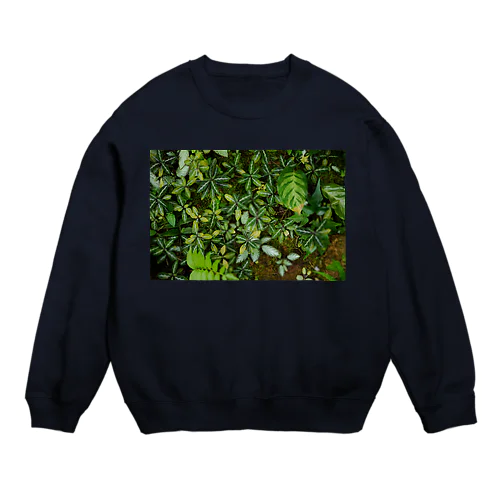 青時雨 Crew Neck Sweatshirt