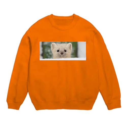 【疲労回復に】サロベツのエゾクロテン Crew Neck Sweatshirt