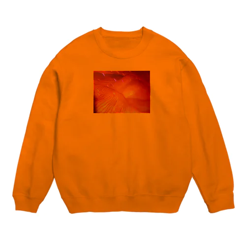 ”山肌” Crew Neck Sweatshirt